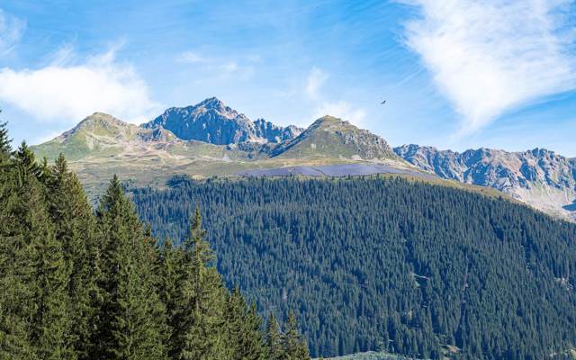 Panorama con impianto solare sulla cresta tra Prättigauerstrasse e Davoserstrasse sopra la foresta.