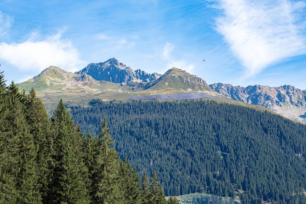 Panorama con impianto solare sulla cresta tra Prättigauerstrasse e Davoserstrasse sopra la foresta.