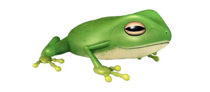 Grafico di una rana.